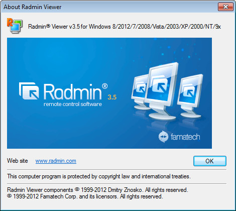 radmin vpn service is not available